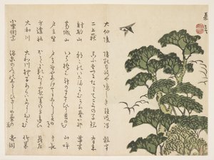 大树和鸟，c.1830-44（彩色木版画） 作者 村田Kagen