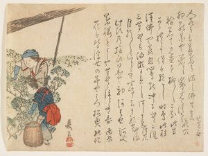采茶机，c.1830-44（彩色木版画） 作者 村田Kagen