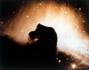 猎户座的马头星云。 作者 NASA图片