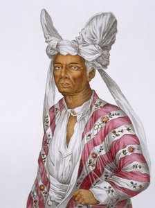 位于帝汶附近的Solor岛女王Naba-Leba，从发现之旅到澳大利亚土地的25号板块，由B. Roger，酒吧刻。 1800至04年 作者 N·佩蒂特