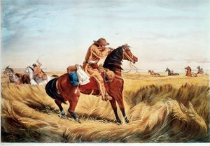 检查 - 保持距离（彩色印刷品）