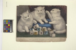 我的三只白色小猫（手绘版画）