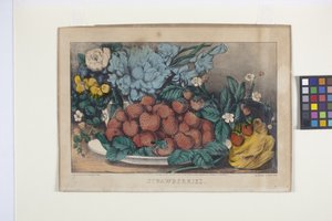 草莓（手绘石版画）