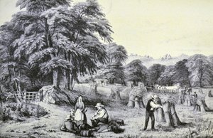 Currier＆Ives插图19世纪。收成 作者 N. and Ives，JM库里尔