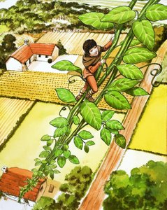 杰克与豆茎