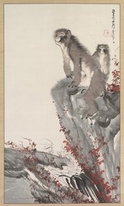 溪边的猴子