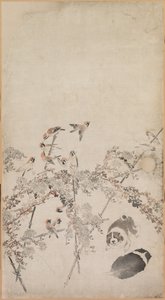 小狗、麻雀和菊花 作者 长泽玫瑰