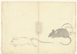三只老鼠
Korin 画册（系列名称）
科林加富（系列名称）