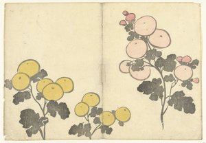 风格化的黄色和粉色花朵
Korin 的印刷画册（系列名称）
Korin gafu（系列名称） 作者 松田慎介（可能）