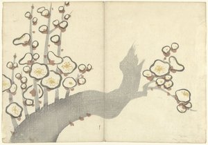 梅花
Korin gaveu（系列名称）
梅花（系列名称）