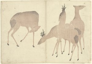 四只鹿
Korin（系列名称）印刷画册
Korin gafu（系列名称）