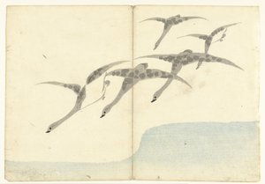 五只飞雁
科林（系列名称）印刷画册
Korin gafu（系列名称）