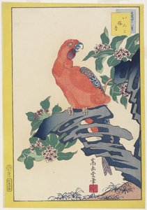 粉红色的鹦鹉岩石，1859年（彩色木版画）