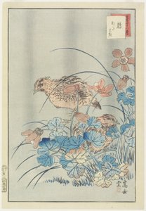 布什的两个鹌鹑，1859年（彩色木版画）