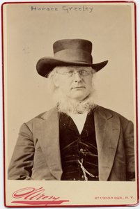 Horace Greeley（1811-72），美国政治和报纸编辑（蛋白照片）