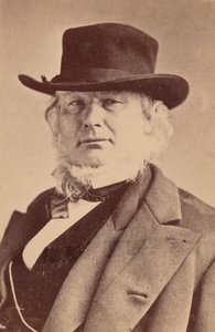 霍勒斯-格里利的肖像 1811-1872年，1869年。 作者 拿破仑·萨罗尼（Napoleon Sarony）