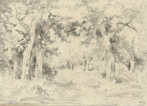 夏天的森林景观 作者 Narcisse Virgile Diaz de laPeña