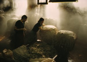 工人们在马萨诸塞州塞勒姆的一家古老制革厂分拣正在加工的兽皮 作者 内森·本