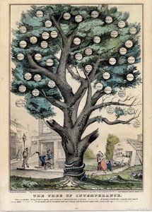 不和之树，由纽约州居里夫人出版，1849年