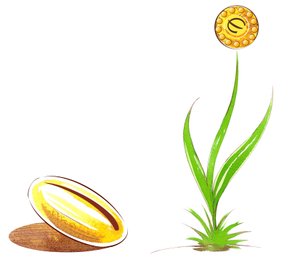 种子和嫩芽--金融寓言的图解 作者 尼尔·奥斯本