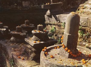Shiva lingams在Pashupatinah寺 作者 尼泊尔学校