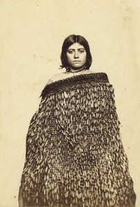 Mina Makata，Half Cast Maorie，1865年（专辑打印和wc）