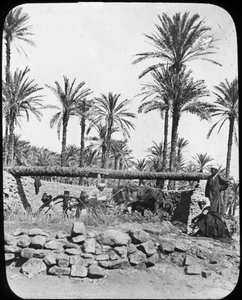 水轮，埃及，c1890