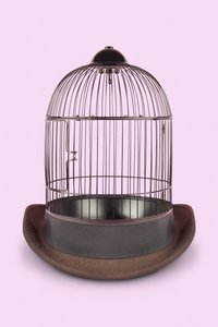 精神牢笼，2020 年（照片）