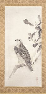 鹰栖息在树枝上（纸上墨迹） 作者 曾我日长官