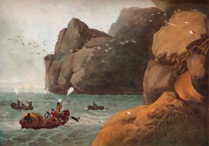 海雀射击》，约1806年 作者 尼科尔斯和笔记