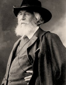 恩斯特·海克尔肖像，c.1910（照片） 作者 尼古拉（Nicola Perscheid）