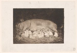 带仔猪的母猪 作者 尼古拉·范德瓦伊