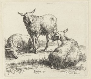 Drie schapen
Schapen （系列名称）
Animalia ad vivum delineata et aqua forti aeri impressa Studio et Arte Nicolai Berchemi（系列标题） 作者 西奥多·马瑟姆