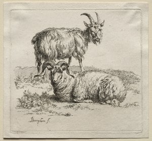 公羊和山羊。 作者 尼古拉斯·彼得斯（Nicolaes Pietersz）。 Berchem