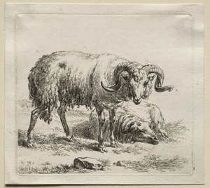公羊和绵羊。 作者 尼古拉斯·彼得斯（Nicolaes Pietersz）。 Berchem
