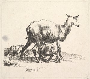 羊与羔羊护理。 作者 尼古拉斯·彼得斯（Nicolaes Pietersz）。 Berchem