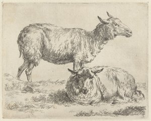 Staand en liggend schaap
Schapen （系列名称）
Animalia ad vivum delineata et aqua forti aeri impressa Studio et Arte Nicolai Berchemi（系列标题） 作者 尼古拉斯·彼得斯·贝尔赫姆