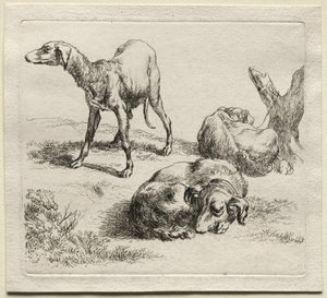 三只猎犬。 作者 尼古拉斯·彼得斯（Nicolaes Pietersz）。 Berchem