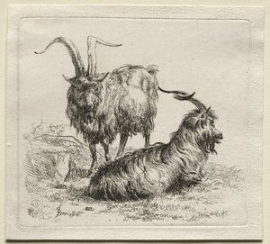 两只山羊。 作者 尼古拉斯·彼得斯（Nicolaes Pietersz）。 Berchem