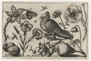 花、梨和鸽子
鸟、花、昆虫等(系列名称） 作者 尼古拉斯·德布鲁因（可能）