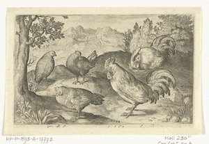 三只鸡和两只公鸡 鸟类和昆虫（系列名称） 作者 尼古拉斯·德·布鲁因