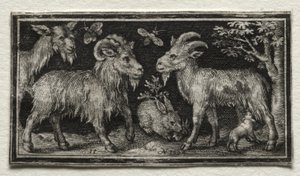 山羊和野兔，1594年。 作者 尼古拉斯·德·布鲁因