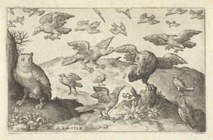 猫头鹰与被其他鸟类攻击的猎物
鸟类和昆虫（系列名称） 作者 Francoys van Beusekom