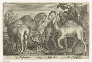 四只单峰驼
Animalivm qvadrvpedvm（系列名称）
风景中的动物（系列名称） 作者 尼古拉斯·德·布鲁因