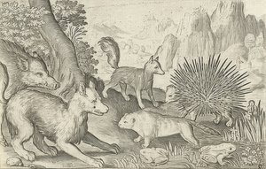 野猪，狐狸，海狸，豪猪和青蛙。 1621 作者 尼古拉斯·德·布鲁因
