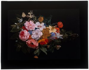 玫瑰、金银花、百合、水仙、万寿菊、蛇头毛蕊花的花环