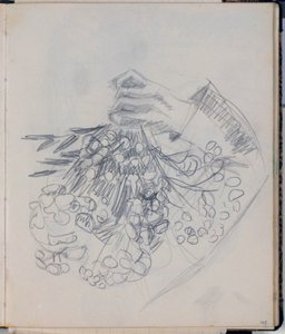 安徒生的右臂。尼索草地 "草图（欧登塞）