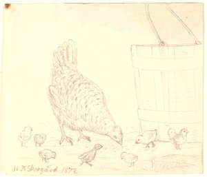 母鸡带小鸡 作者 尼尔斯·斯科夫加德