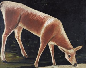 喝水的狍子 作者 尼可·皮罗斯曼尼（Niko Pirosmani）