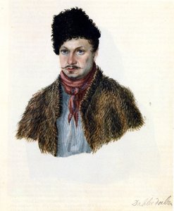 瓦西里·达维多夫（Decantbrist）肖像瓦西里·达维多夫（Vasily Davydov）1793-1855，1839年 作者 Nikolai Alexandrovich Bestuzhev